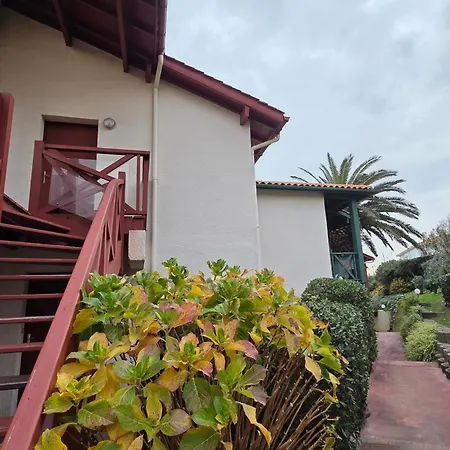 公寓 Ocean View And Pool Near The 比亚里茨