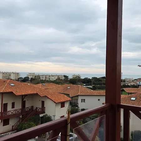 公寓 Ocean View And Pool Near The 比亚里茨